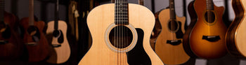 Taylor 100 Series