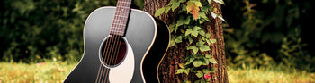 Acoustic Guitars
