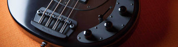 Bass Guitars