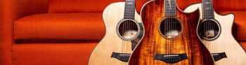 Taylor American Dream